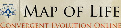 Map of Life - Convergent Evolution Online